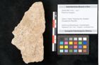 Foto (Objekt + Etikett) von Rhamnus frangula L. (NHMW-GEO-2024-0188-11318)